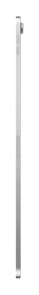 Silver 12.9-inch 64GB Wi-Fi Tablet A451