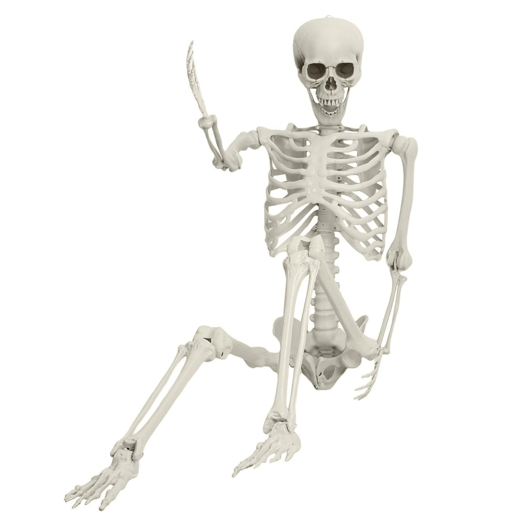 Life Size Imitation Skeleton with Posable Joints H710