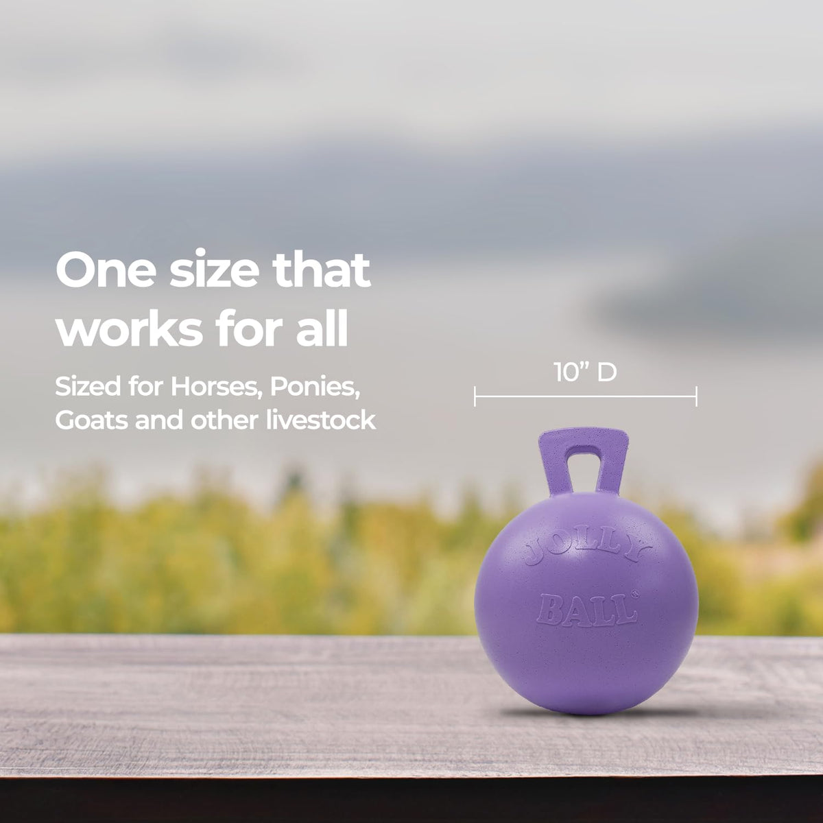 10 in Horse Toy Light Purple H2711