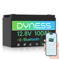 12V 100Ah LiFePO4 Lithium Battery B756