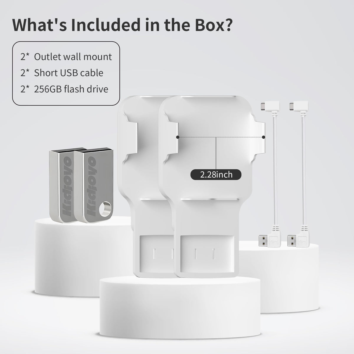 256GB USB Flash Drive & Wall Mount (2 Pack) Z171896