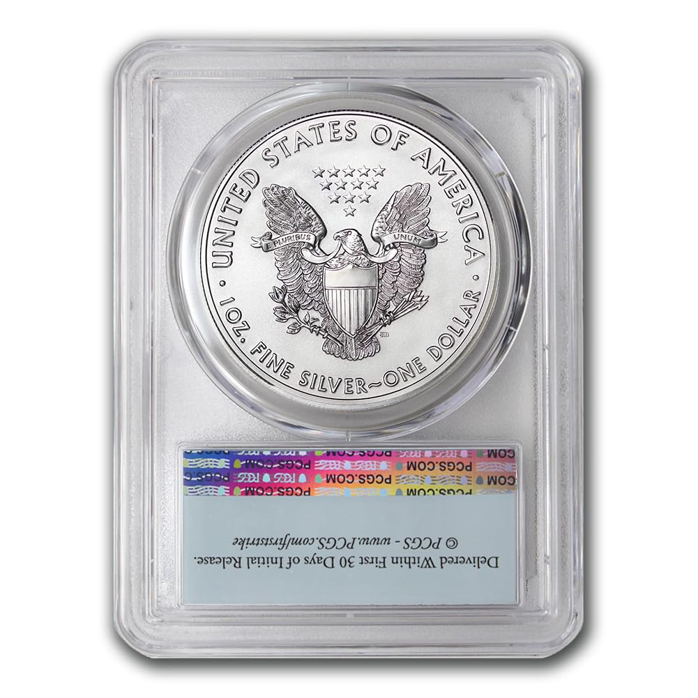 1 oz American Silver Eagle Coin R19039