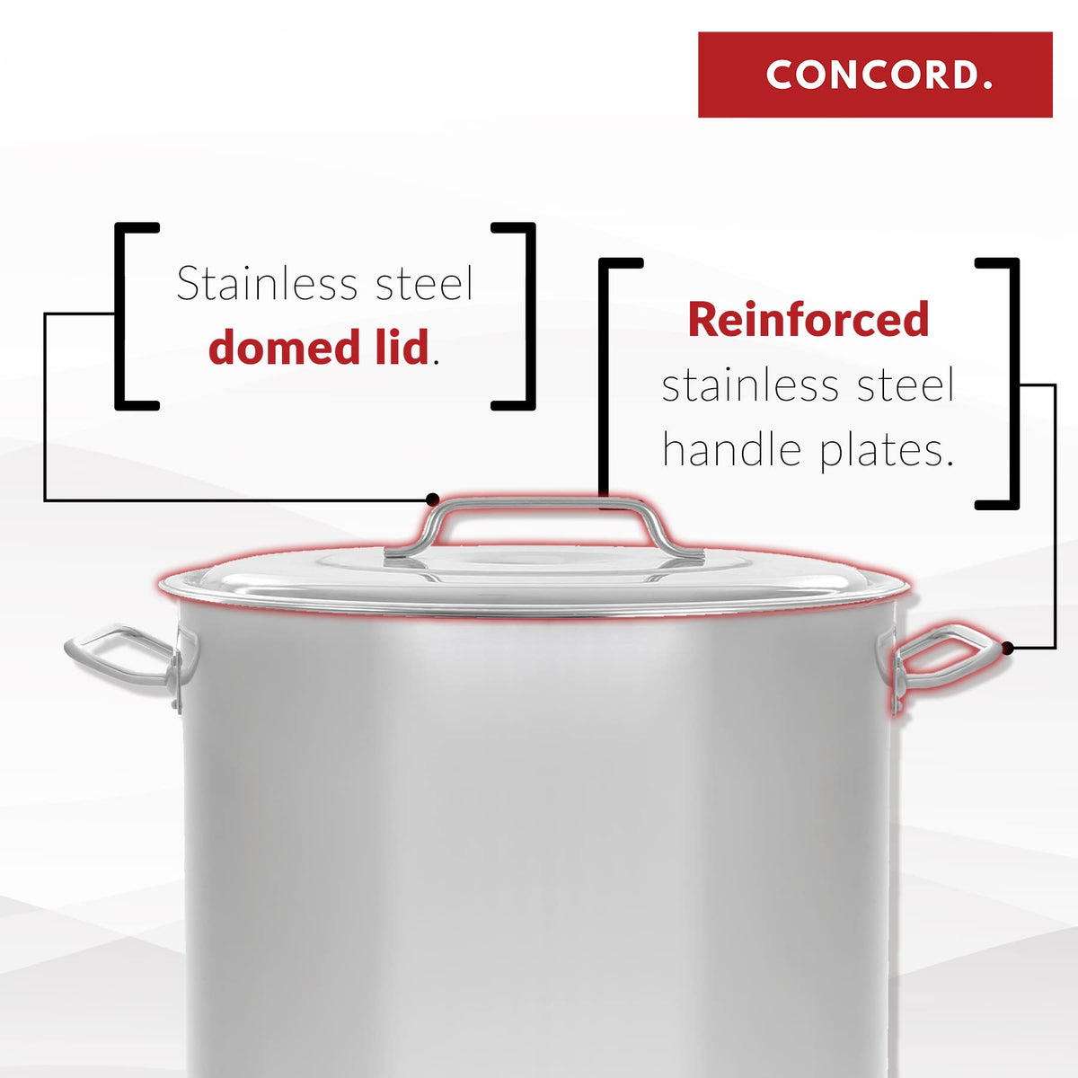 40 Quart Stainless Steel Stock Pot with Steamer Basket and Propane Stove N664