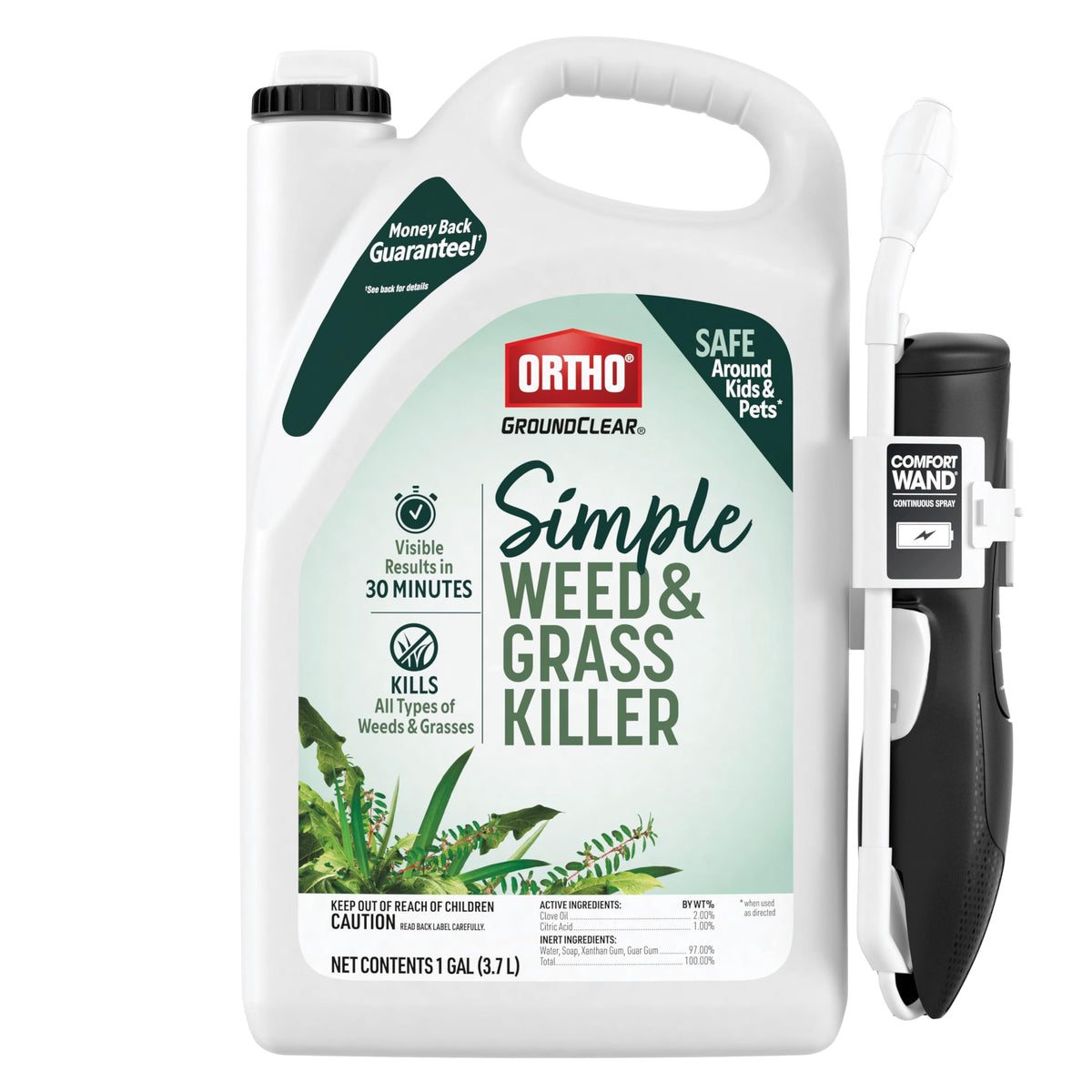 Weed & Grass Killer with Comfort Wand, 1 gal. U748973