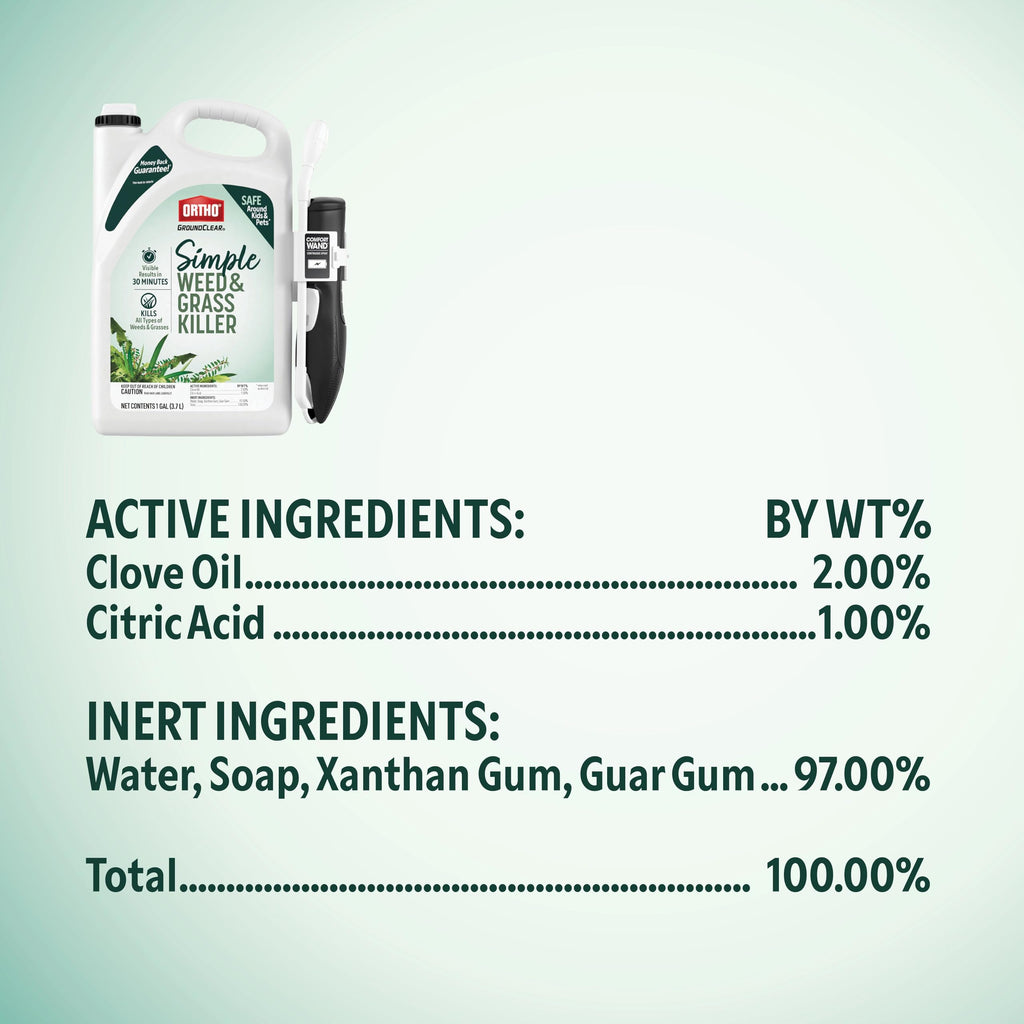 Weed & Grass Killer with Comfort Wand, 1 gal. U748973