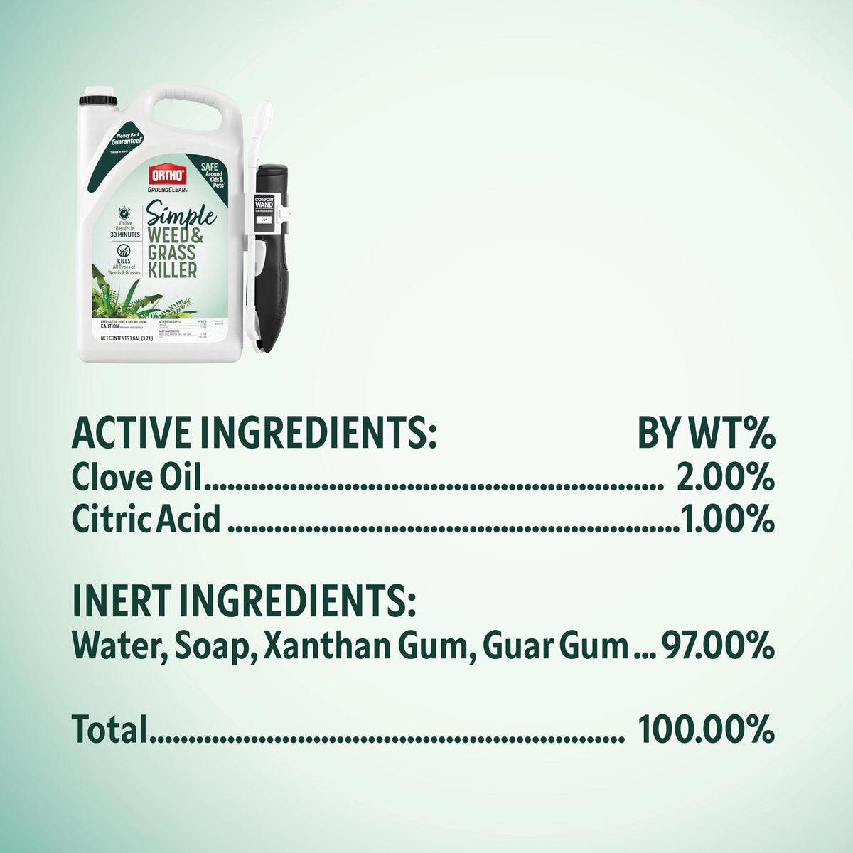 Weed & Grass Killer with Comfort Wand, 1 gal. U748973