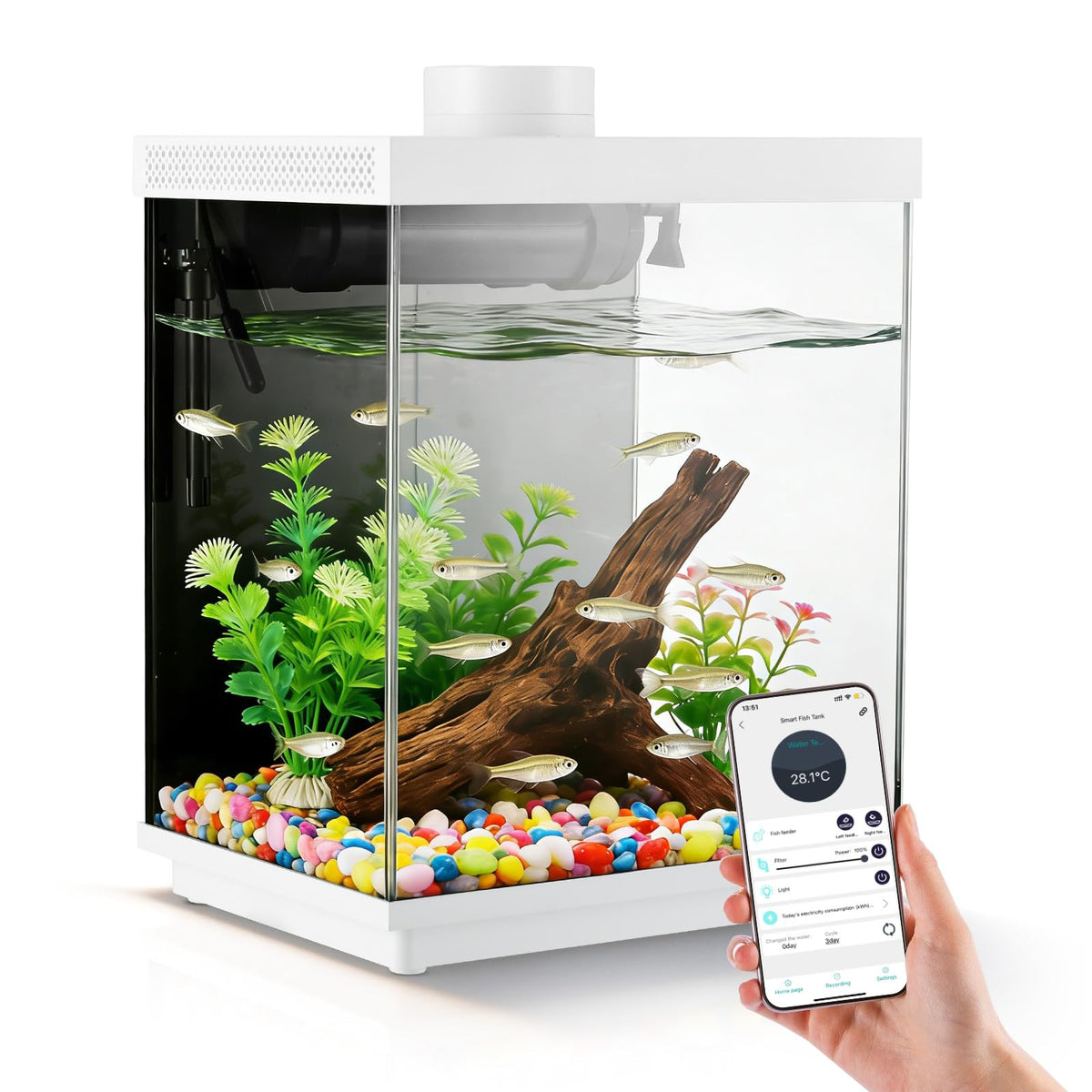 3 Gallon Glass Fish Tank Aquarium Kit with APP Control C408