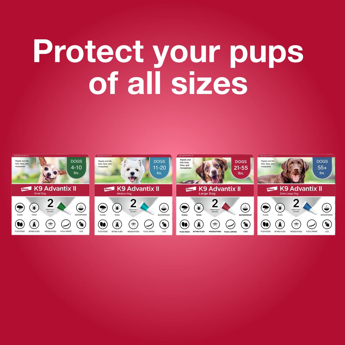 Flea & Tick Topical for Large Dogs 21–55 lbs., 2ct J52079