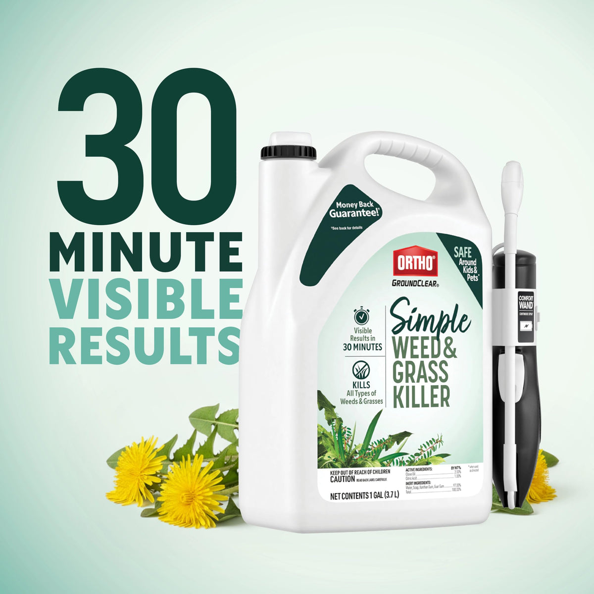 Weed & Grass Killer with Comfort Wand, 1 gal. U748973