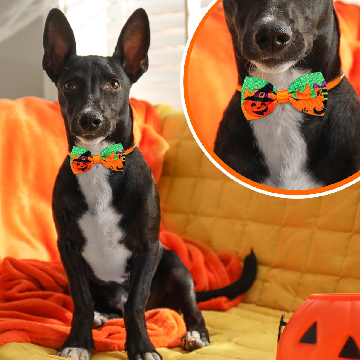 120 Pcs Halloween Dog Bow Ties J861