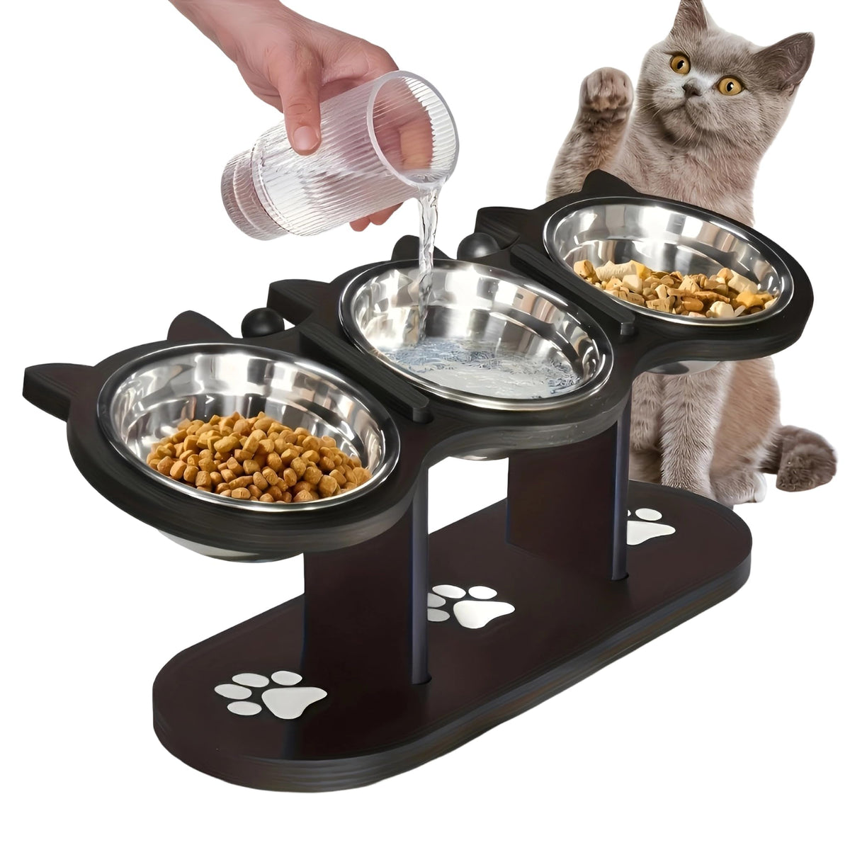 Raised Cat Bowls with 3 Stainless Steel Bowls U893761