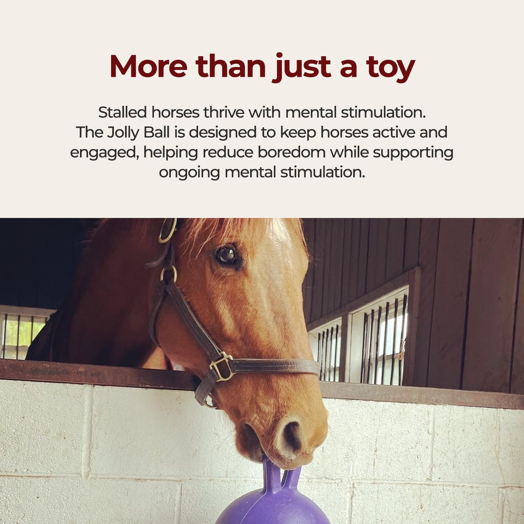 10 in Horse Toy Light Purple H2711