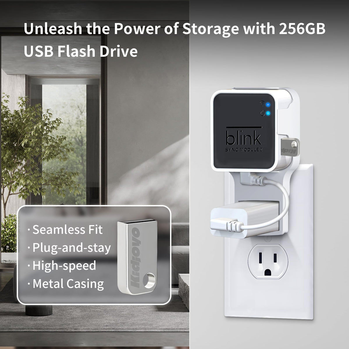 256GB USB Flash Drive & Wall Mount (2 Pack) Z171896