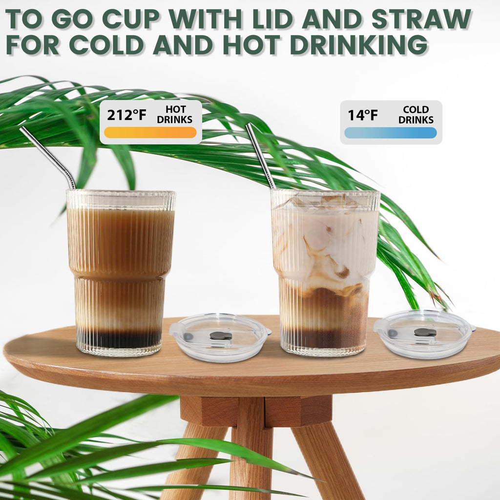 16 OZ Clear Plastic Iced Coffee Cups with Lids and Straws 2 Pcs G499