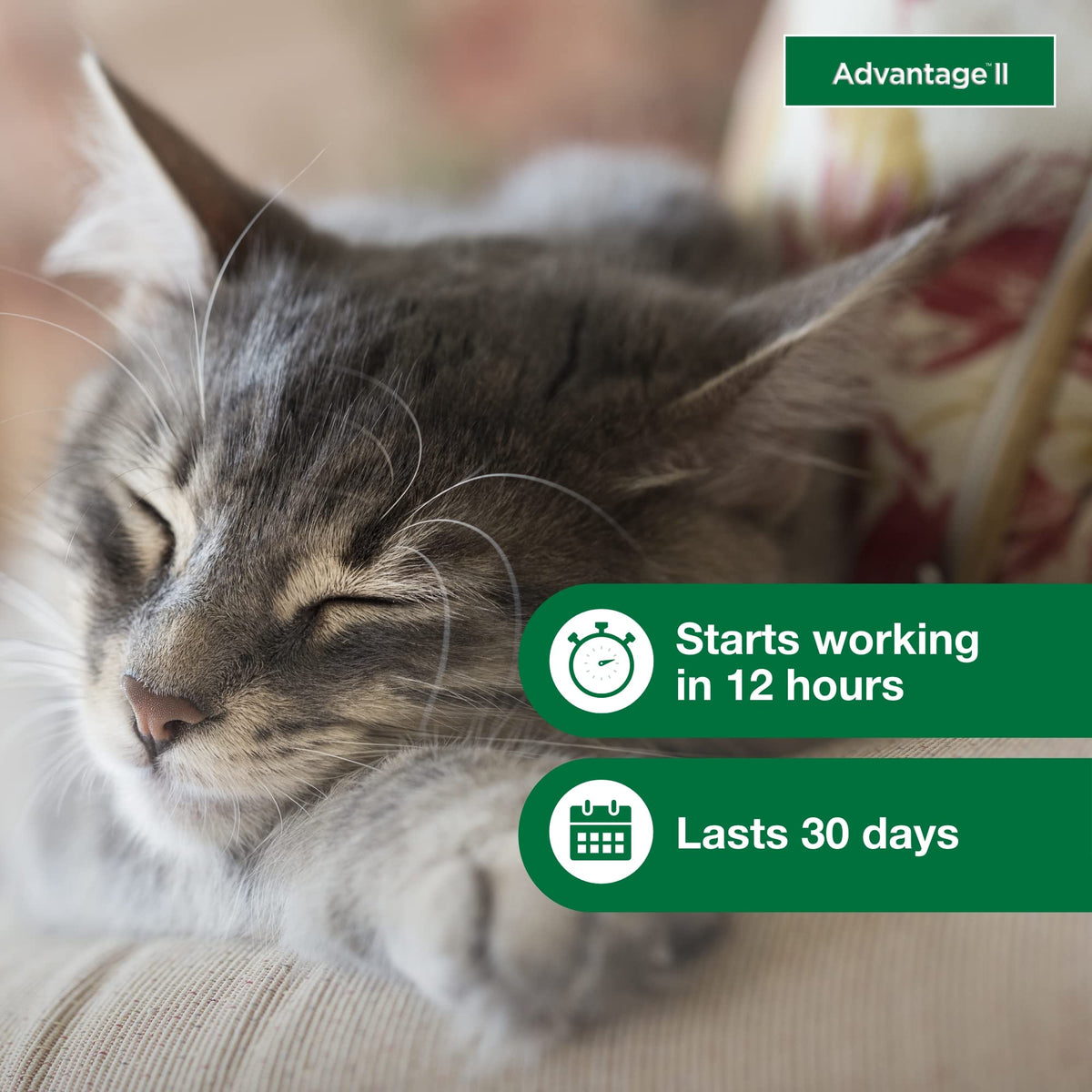 Advantage II Small Cat Topical Flea Treatment & Prevention, 2ct K606856