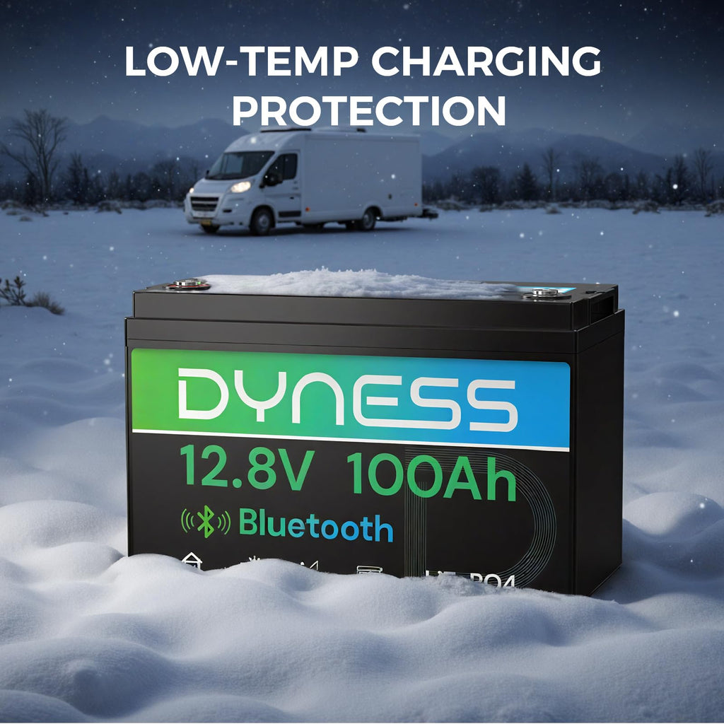 12V 100Ah LiFePO4 Lithium Battery B756