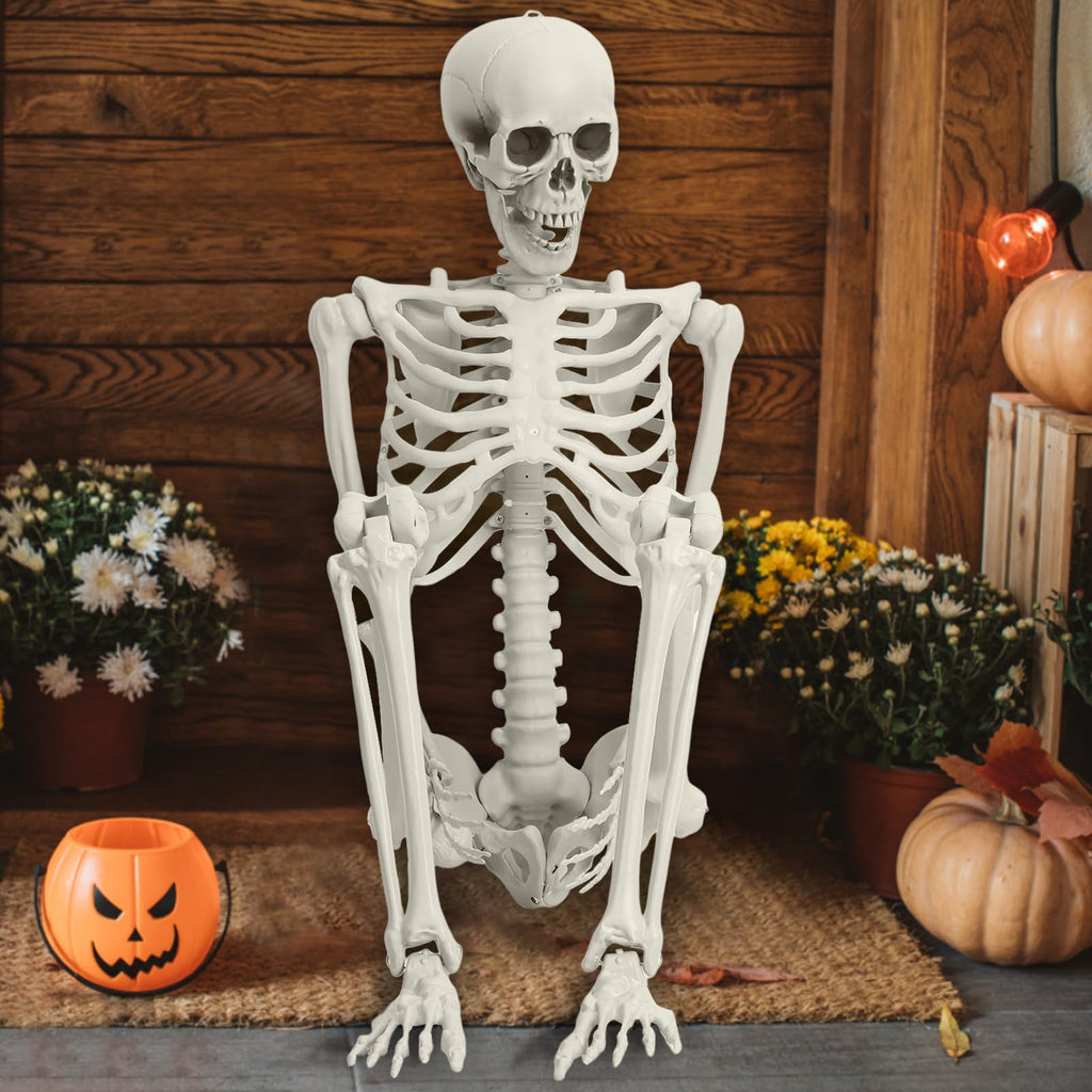 Life Size Imitation Skeleton with Posable Joints H710