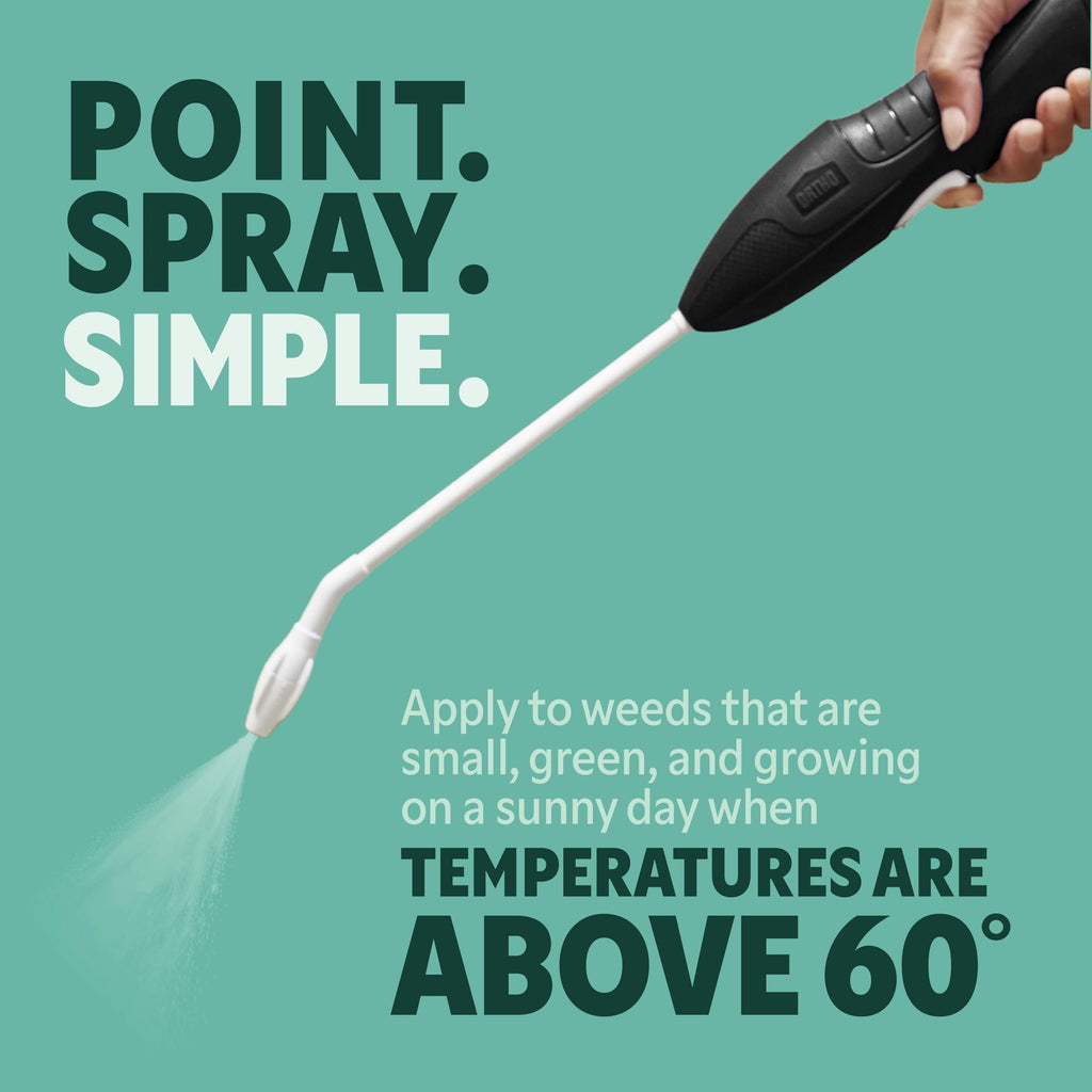 Weed & Grass Killer with Comfort Wand, 1 gal. U748973