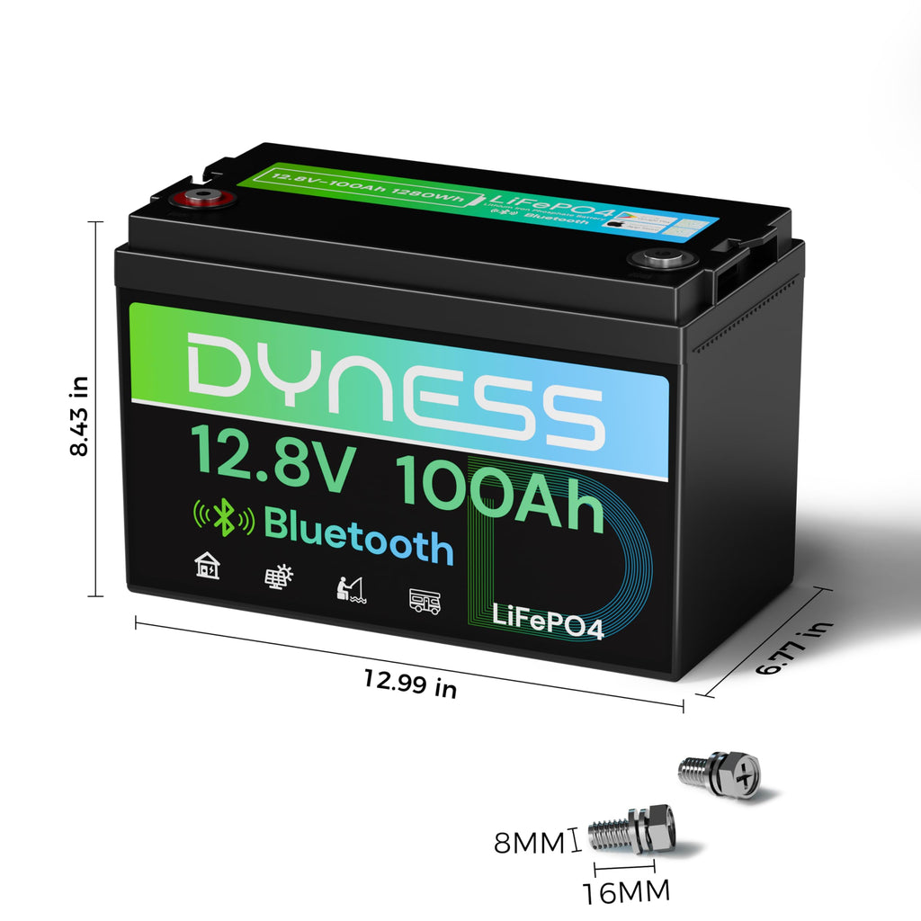 12V 100Ah LiFePO4 Lithium Battery B756