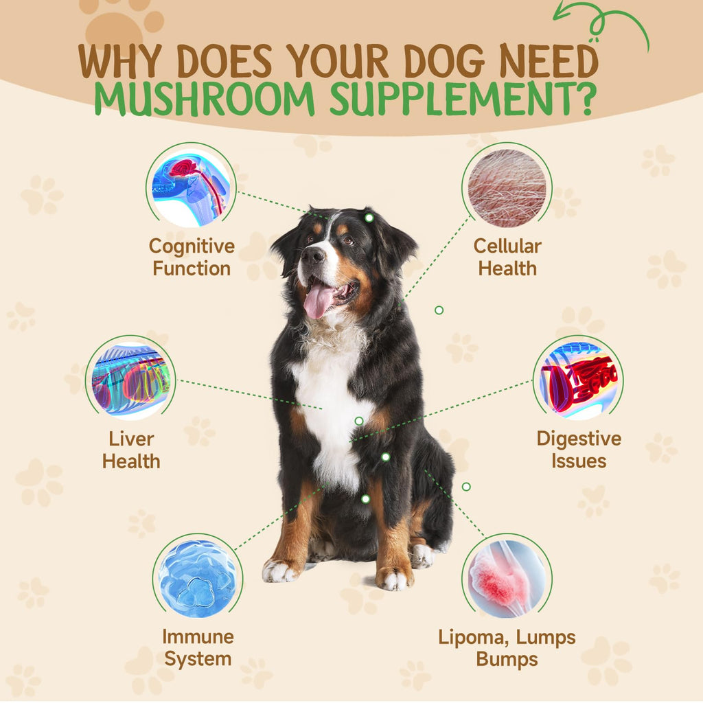 9 in 1 Mushroom for Dogs C791501