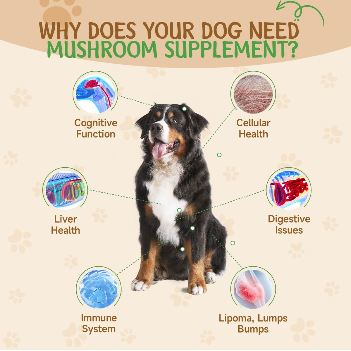 9 in 1 Mushroom for Dogs C791501