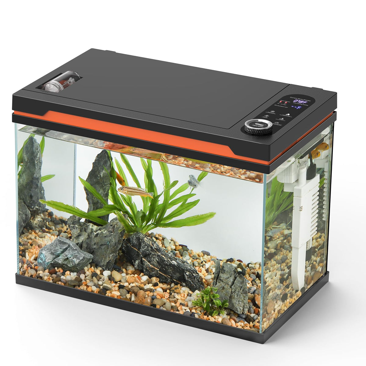 10 Gallon Glass Aquarium Starter Kit with Light Heater Pump Filter H5209