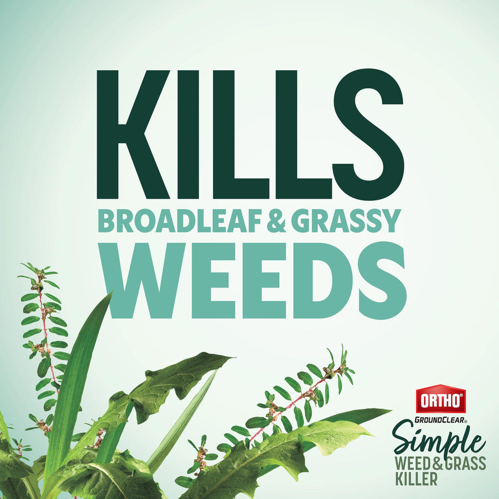 Weed & Grass Killer with Comfort Wand, 1 gal. U748973