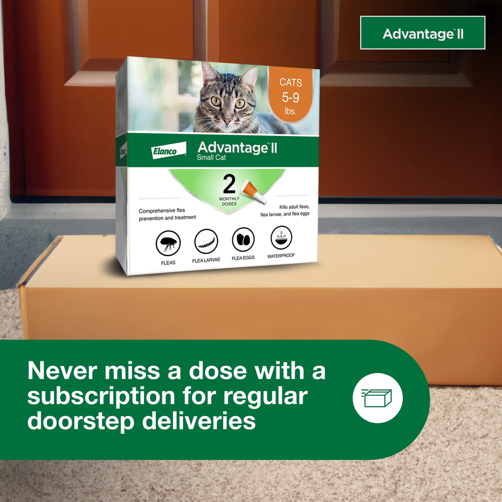 Advantage II Small Cat Topical Flea Treatment & Prevention, 2ct K606856