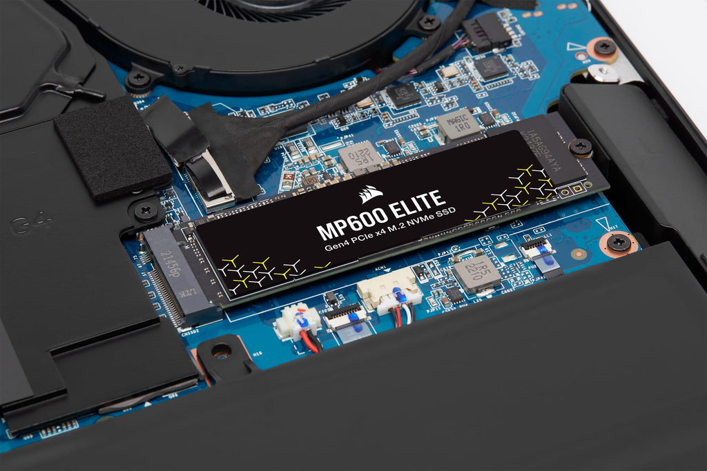 2TB M.2 PCIe Gen4 x4 NVMe SSD W809