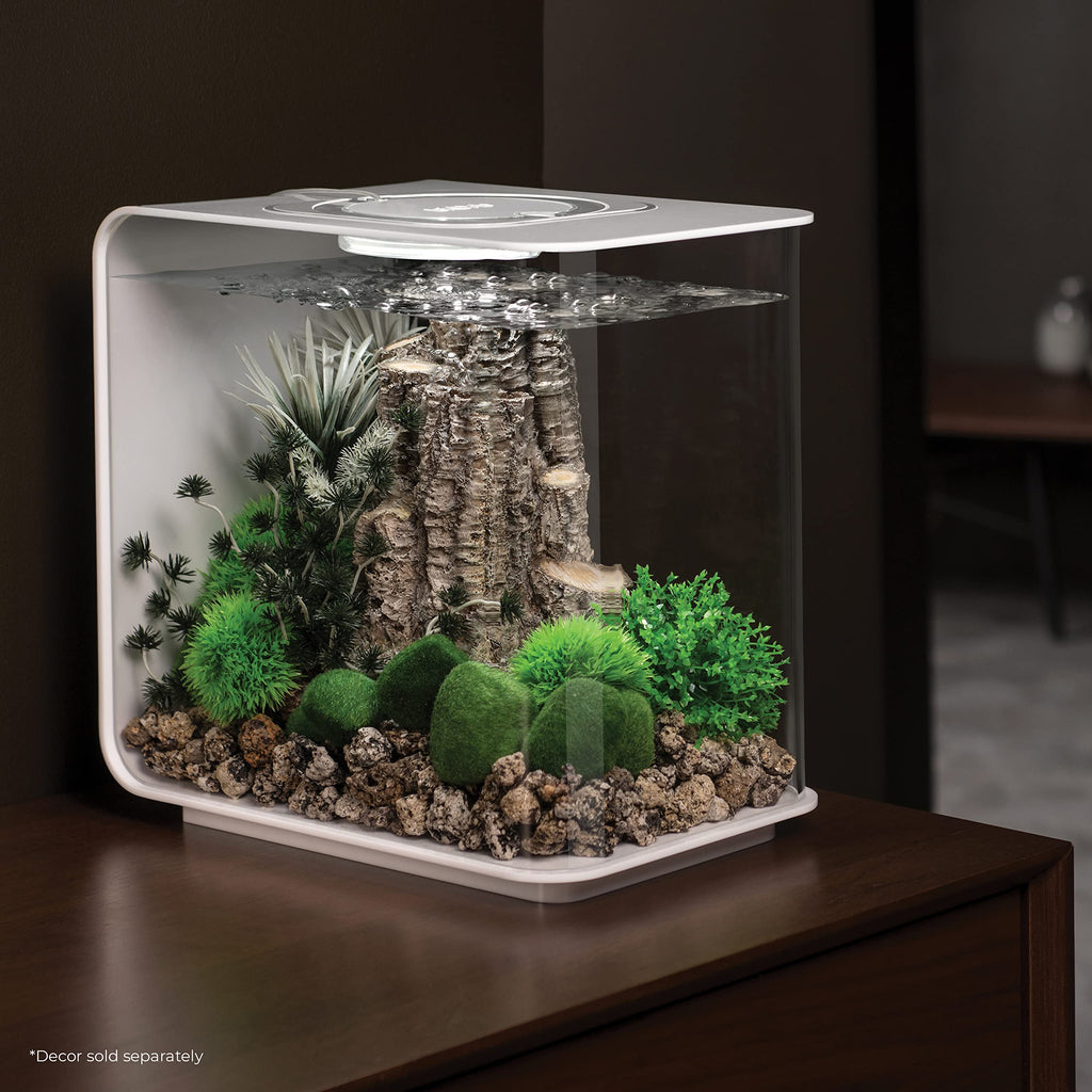 15 Acrylic Aquarium with White LED Lights M796255