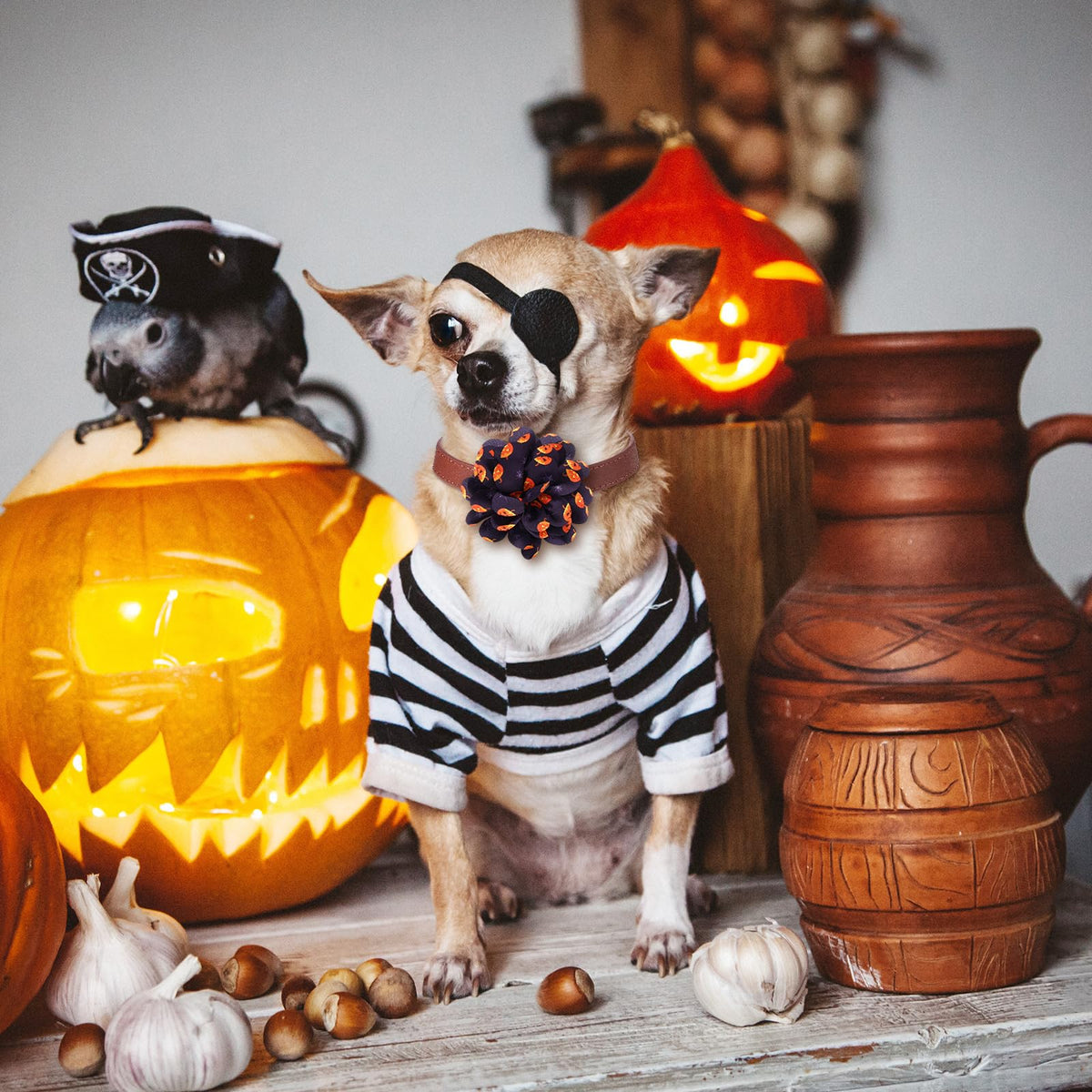 80 Pcs Halloween Dog Collar Flowers Bulk E664699