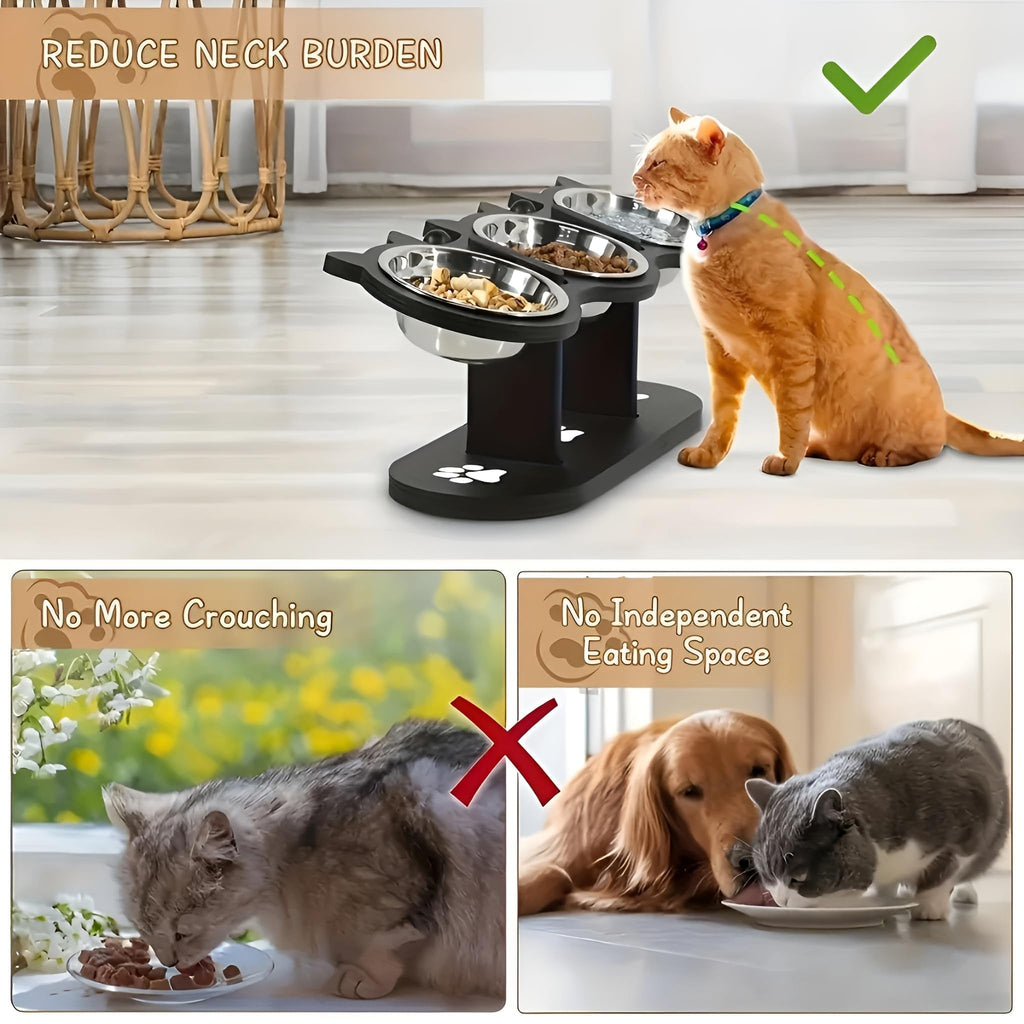 Raised Cat Bowls with 3 Stainless Steel Bowls U893761