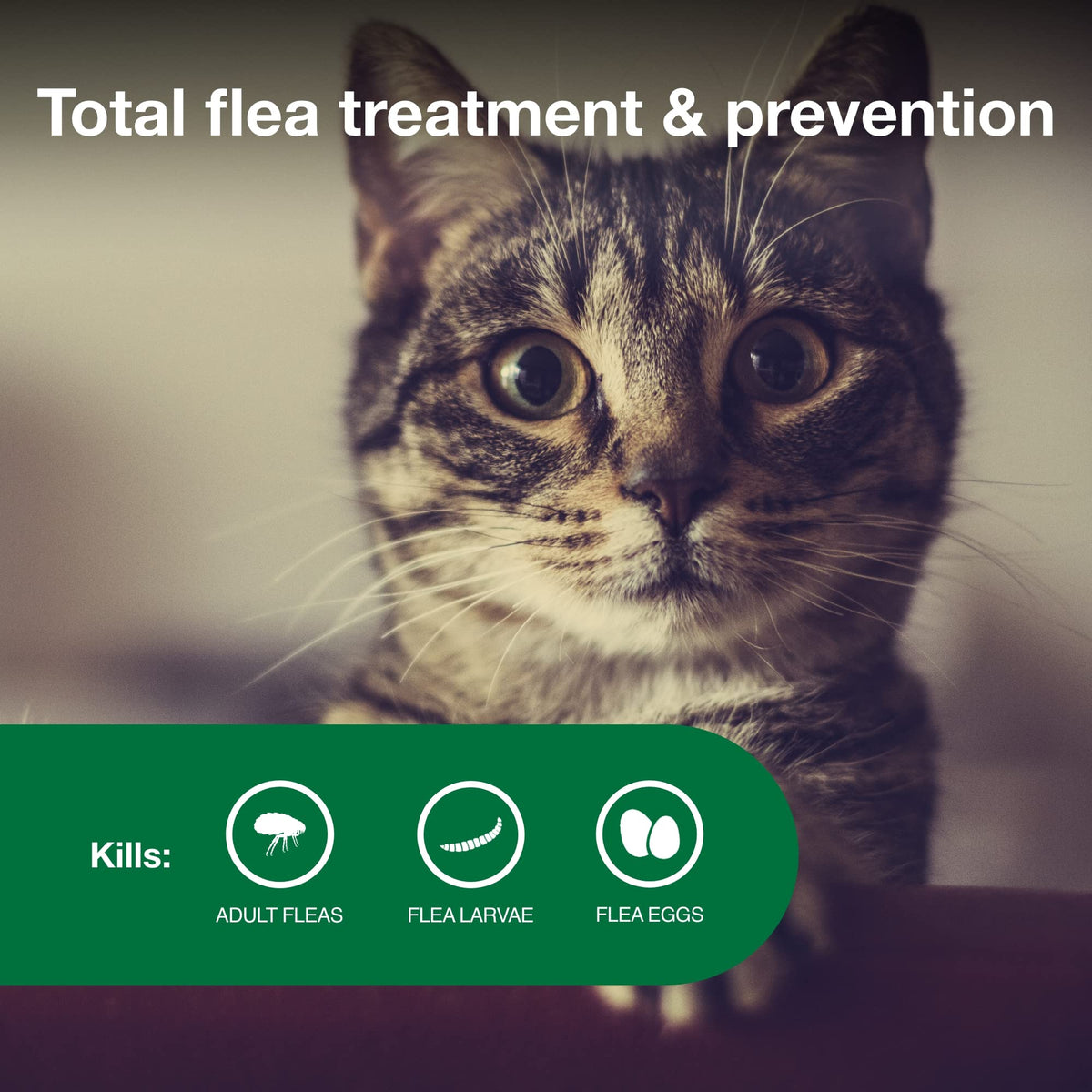 Advantage II Small Cat Topical Flea Treatment & Prevention, 2ct K606856
