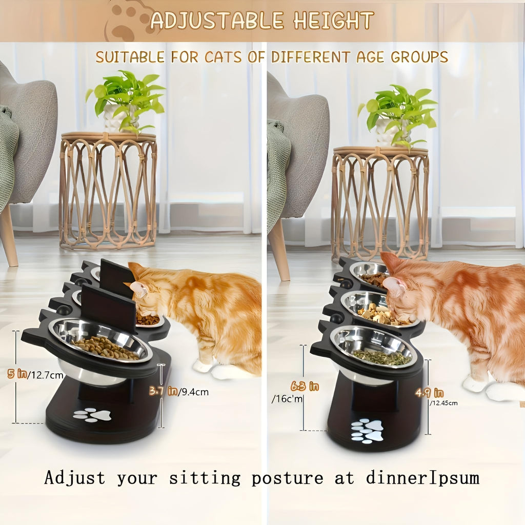 Raised Cat Bowls with 3 Stainless Steel Bowls U893761
