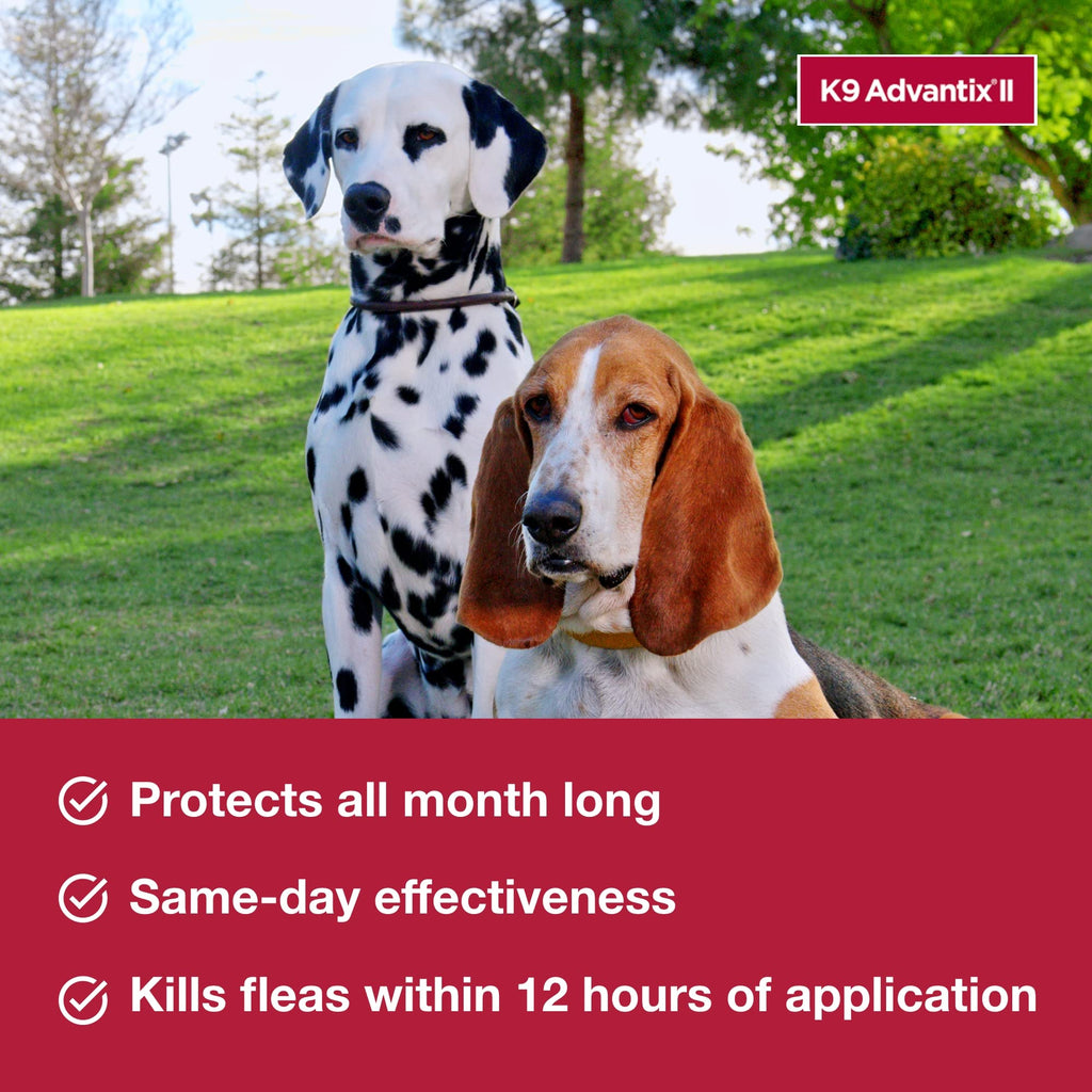 Flea & Tick Topical for Large Dogs 21–55 lbs., 2ct J52079