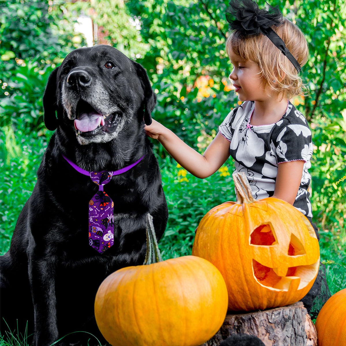 120 Pcs Halloween Dog Bow Ties J861