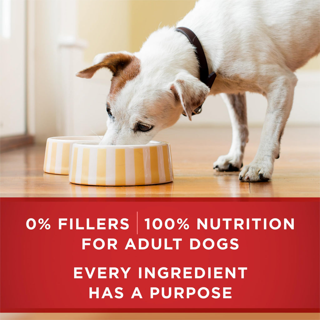 Wet Dog Food Variety Pack 6 13 oz Cans V821491