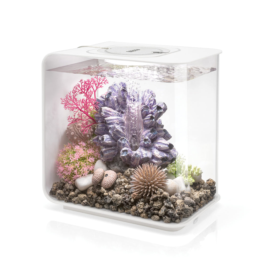 15 Acrylic Aquarium with White LED Lights M796255