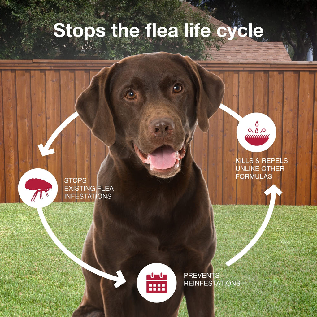 Flea & Tick Topical for Large Dogs 21–55 lbs., 2ct J52079