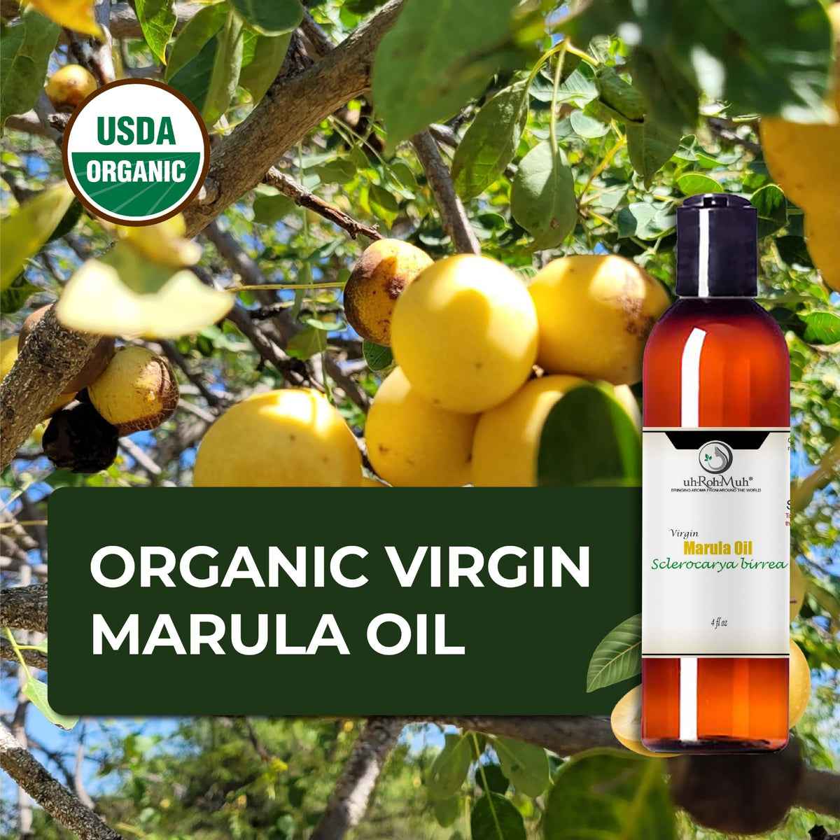 Cold Pressed Virgin Organic Marula Oil 4 Fl Oz T20462